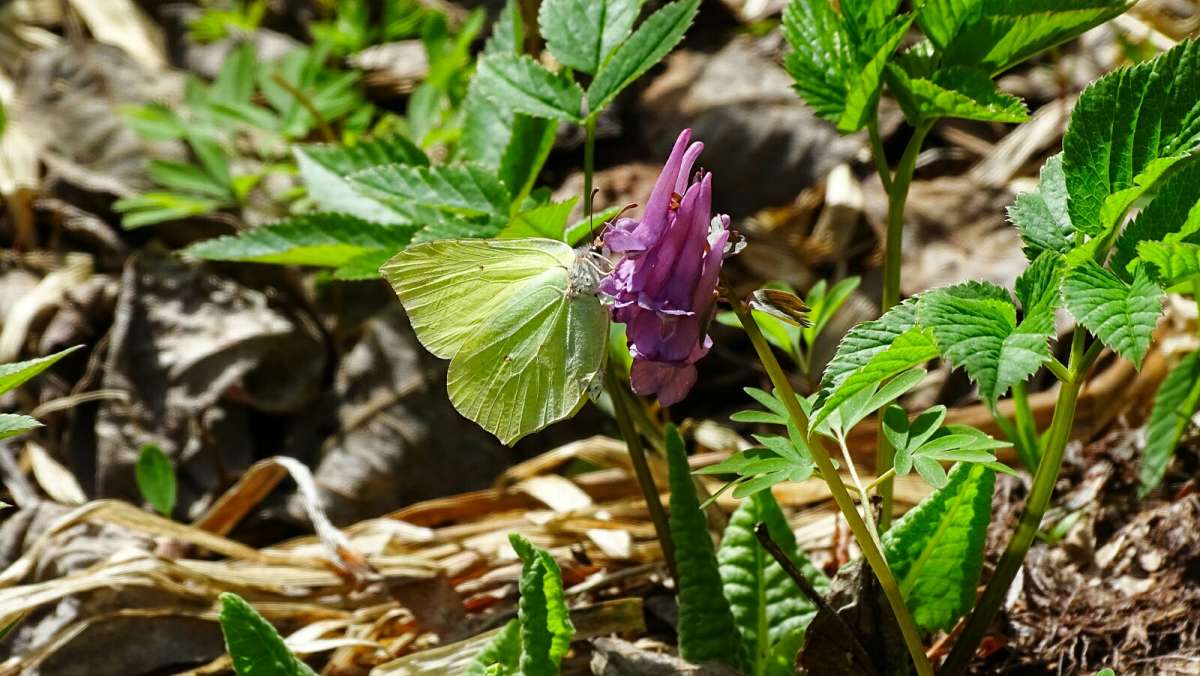 ������� ���������. ����� �������� �������� �� PhotoGeek.ru #������ ��� �������