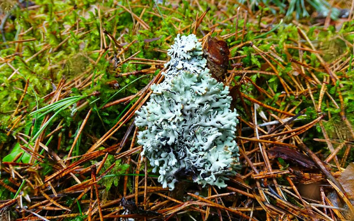 ��������. ����� �������� �������� �� PhotoGeek.ru #������ ��� �������