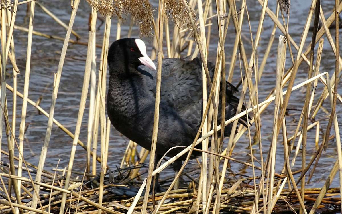 ����� �������� ������! ����� �������� �������� �� PhotoGeek.ru #�������� ���