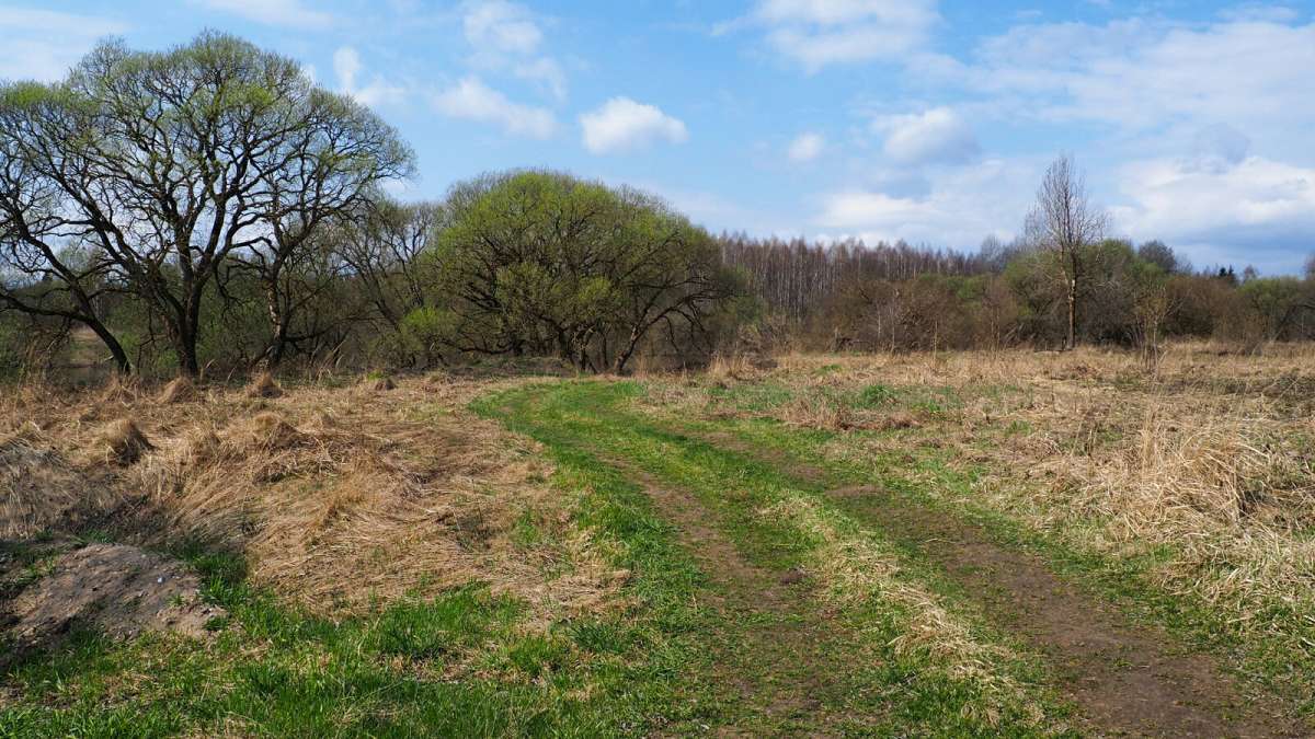 ������ ����� ������. ����� �������� �������� �� PhotoGeek.ru #������ ��� �������