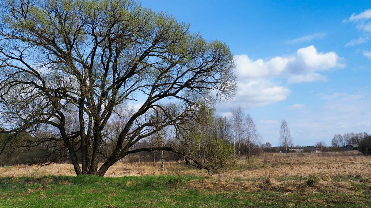 ������ - ����. ����� �������� �������� �� PhotoGeek.ru #������ ��� �������