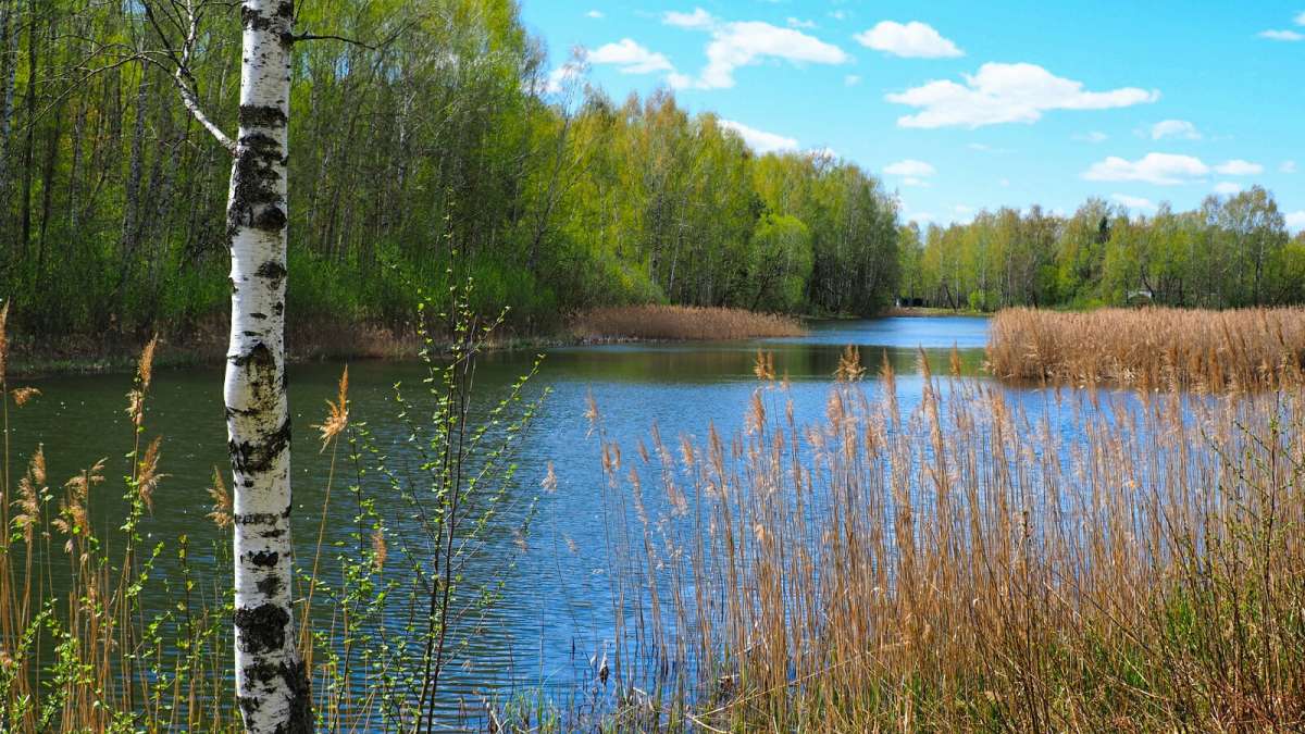 ���������� � ���. ����� �������� �������� �� PhotoGeek.ru #������ ��� �������