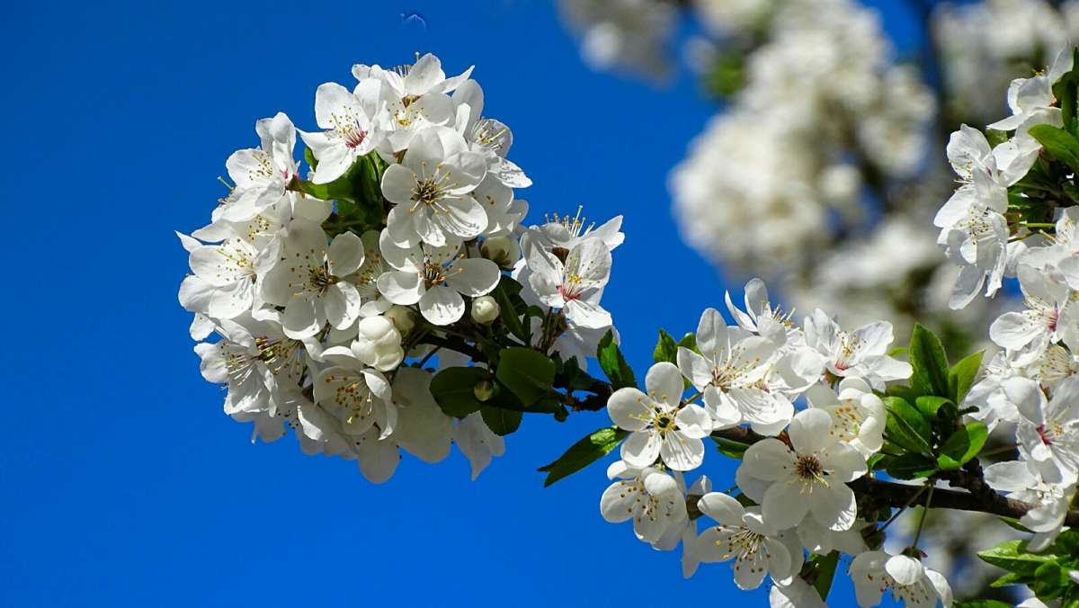 �������� ��������� �������. ����� �������� �������� �� PhotoGeek.ru #������ ��� �������