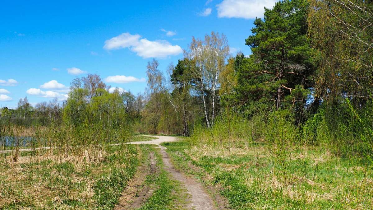 ����� - ��� - ����������. ����� �������� �������� �� PhotoGeek.ru #������ ��� �������