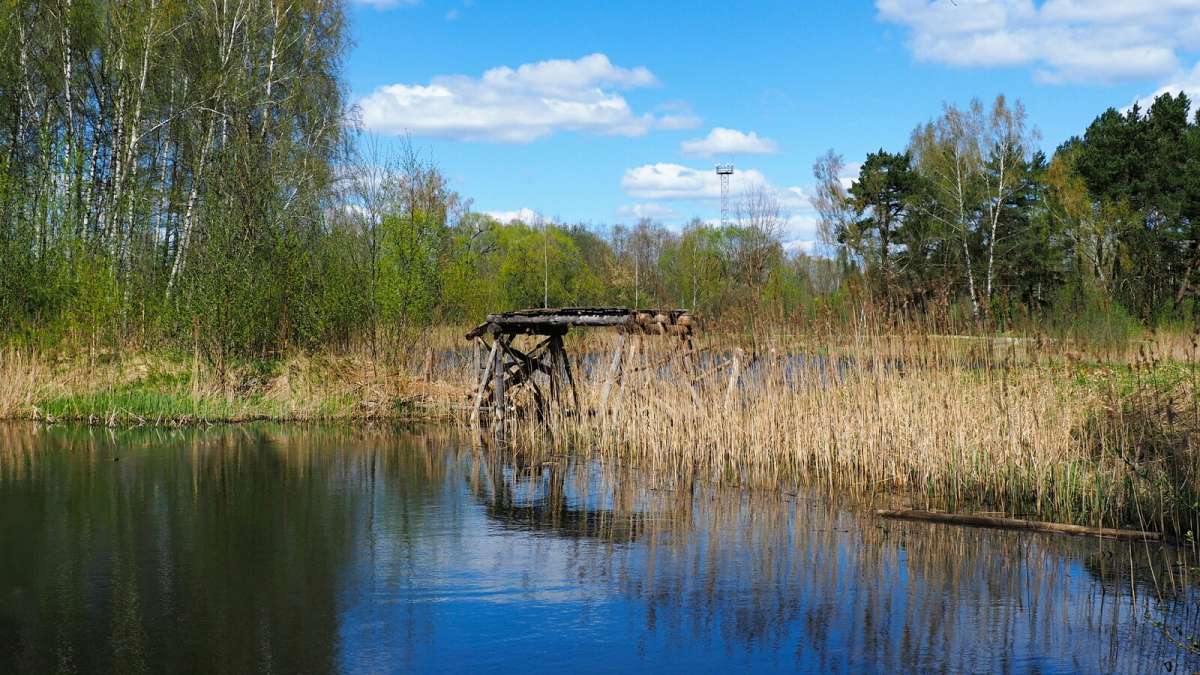 ����������� ������ �� ������. ����� �������� �������� �� PhotoGeek.ru #������ ��� �������