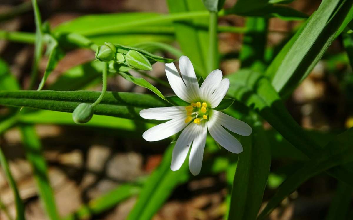 ������ ����� ���. ����� �������� �������� �� PhotoGeek.ru #������ ��� �������