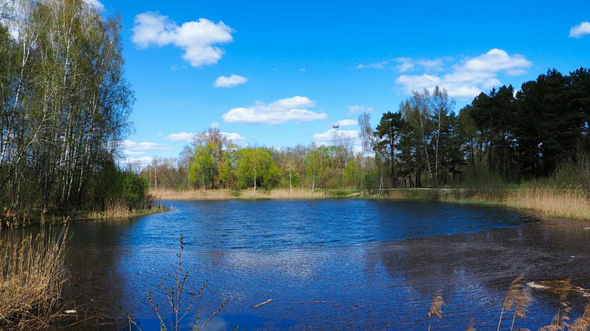 ��� ����. ����� �������� �������� �� PhotoGeek.ru #������ ��� �������