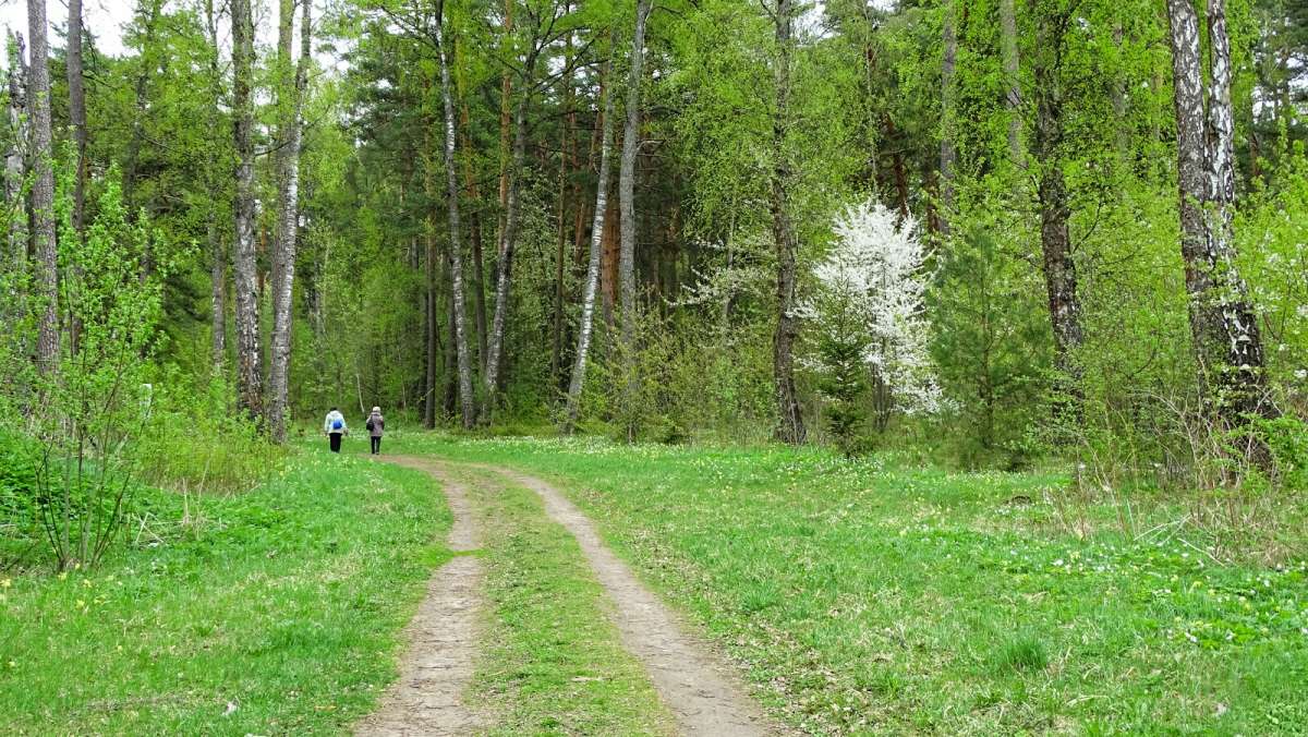 � �������� ���� ��� ����������. ����� �������� �������� �� PhotoGeek.ru #������ ��� �������