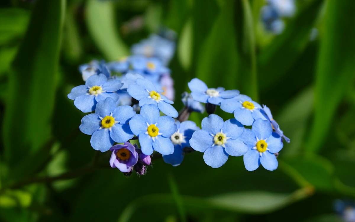 ������ ���������. ����� �������� �������� �� PhotoGeek.ru #23.05.2022 #���������� �������