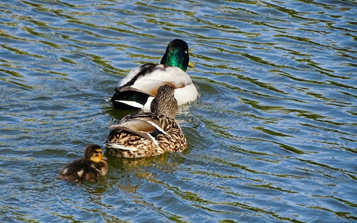 ������ �����. ����� �������� �������� �� PhotoGeek.ru #����� #�������� ���