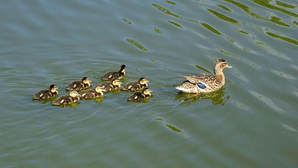 ���� �������� �� ����. ����� �������� �������� �� PhotoGeek.ru #����� #�������� ���