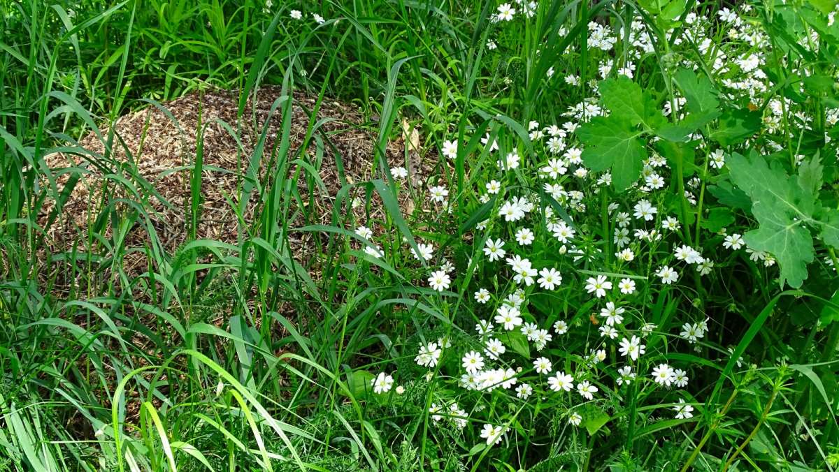 ����� � �����������. ����� �������� �������� �� PhotoGeek.ru #������ ��� �������