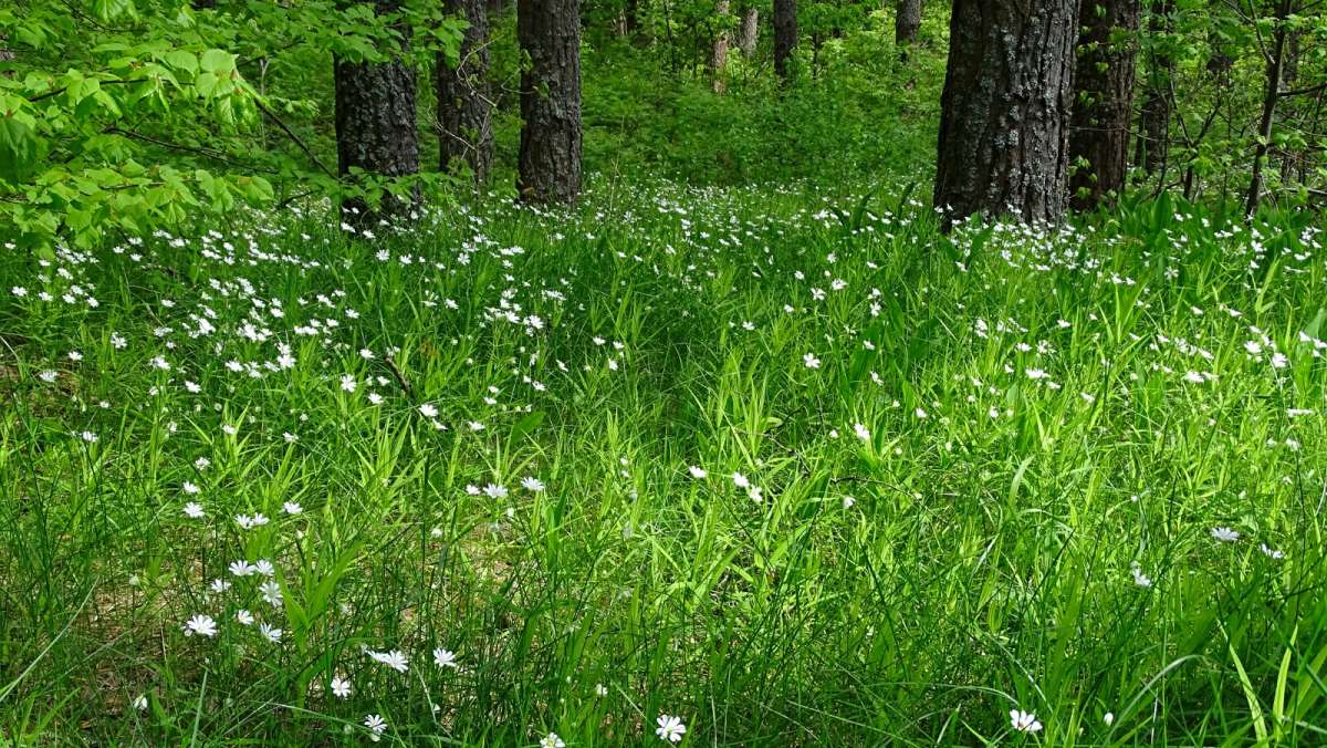 ������� ���. ����� �������� �������� �� PhotoGeek.ru #������ ��� �������