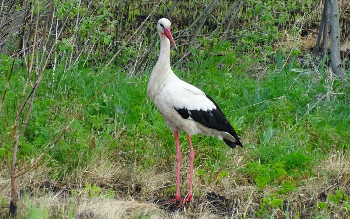 ���� � ������ ����. ����� �������� �������� �� PhotoGeek.ru #�������� ���