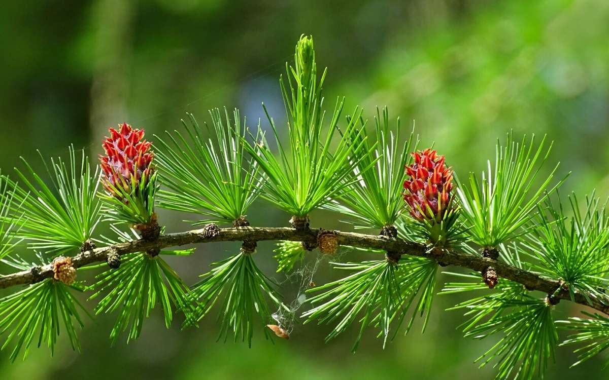 ���� �����������. ����� �������� �������� �� PhotoGeek.ru #����� #������ ��� �������