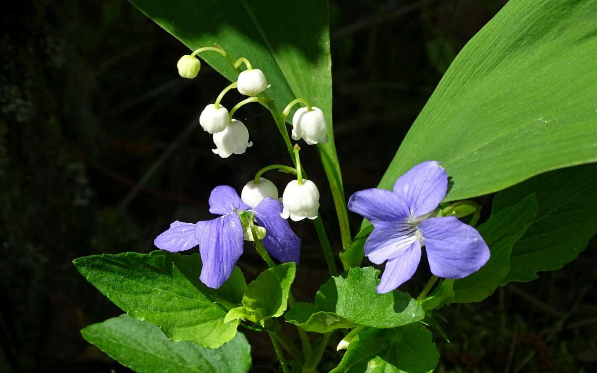 ������ �����. ����� �������� �������� �� PhotoGeek.ru #����� #������ ��� �������