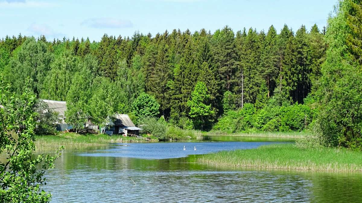 ����� ������ �� �����. ����� �������� �������� �� PhotoGeek.ru #������ ��� �������