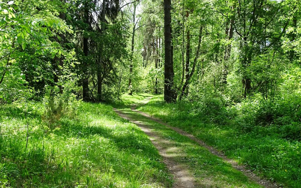 � ���� ��� ����������. ����� �������� �������� �� PhotoGeek.ru #������ ��� �������