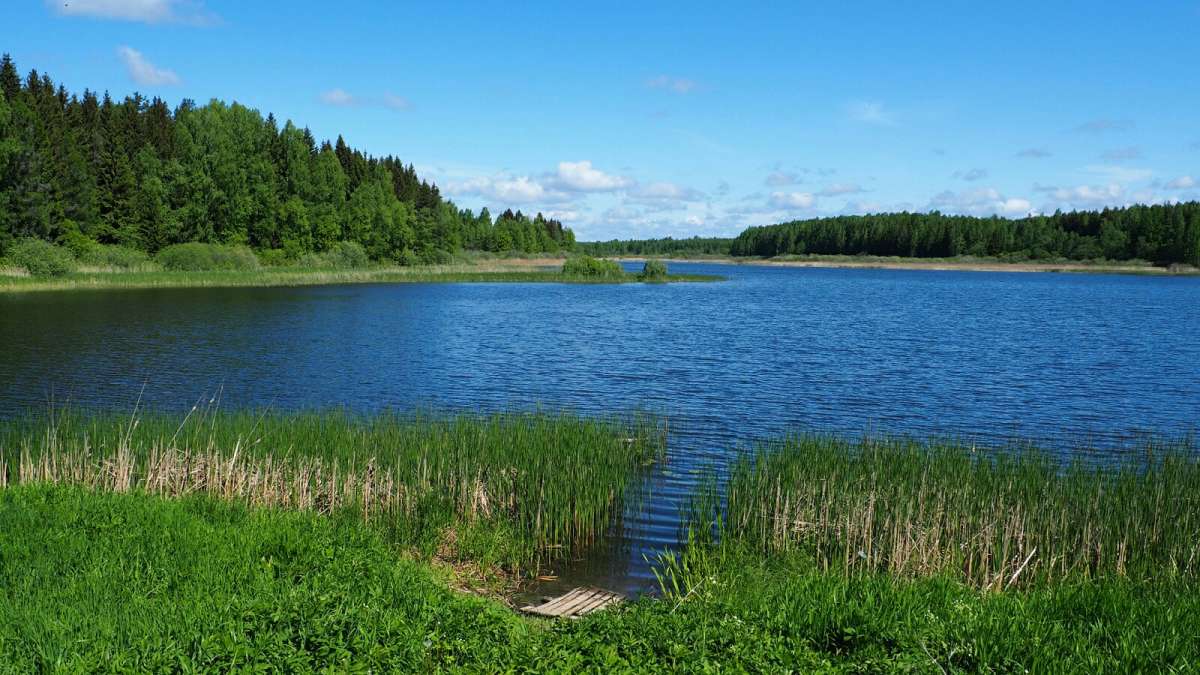 ��� ����������. ����� �������� �������� �� PhotoGeek.ru #������ ��� �������