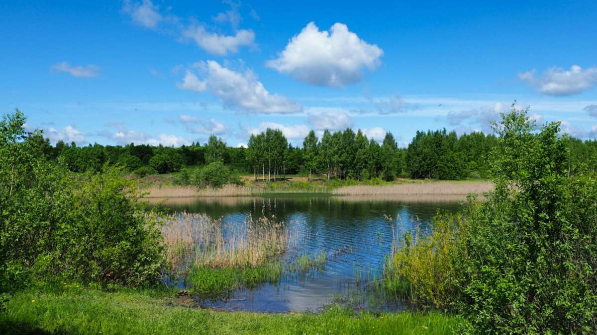 ��� ����. ����� �������� �������� �� PhotoGeek.ru #������ ��� �������