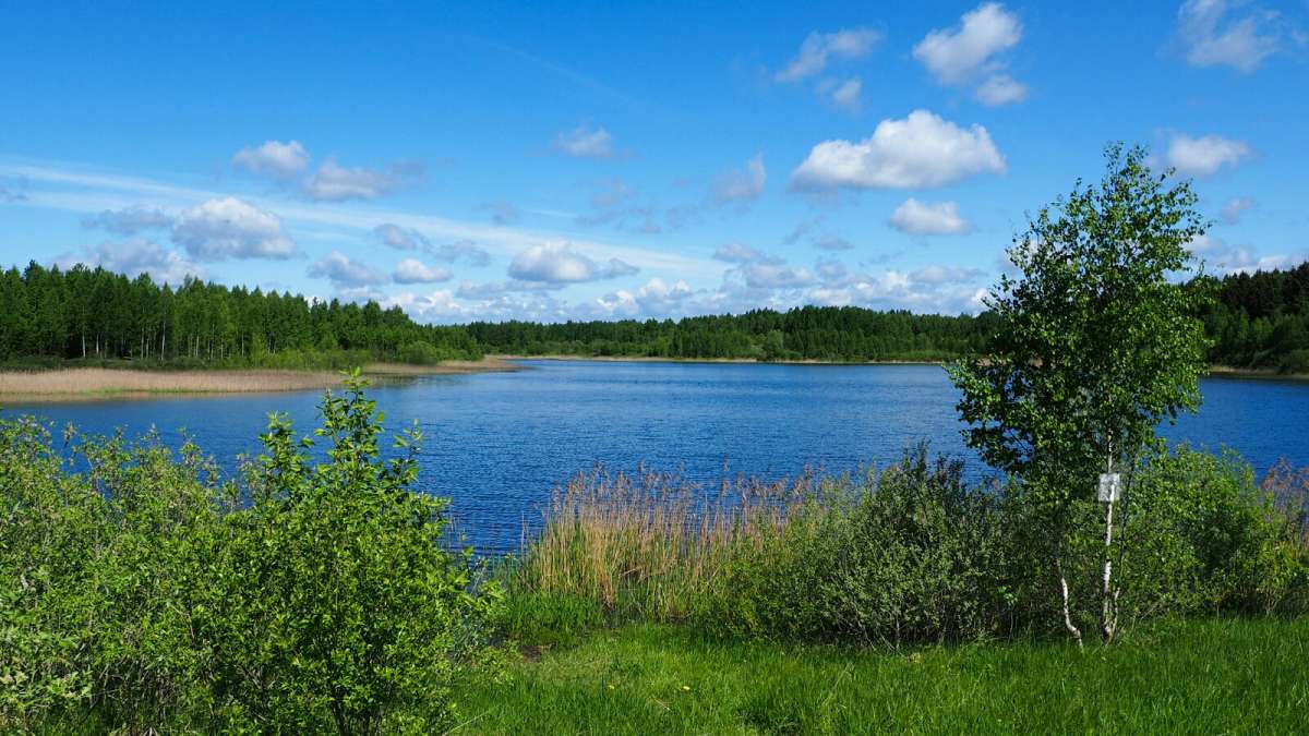 ��� ����. ����� �������� �������� �� PhotoGeek.ru #������ ��� �������