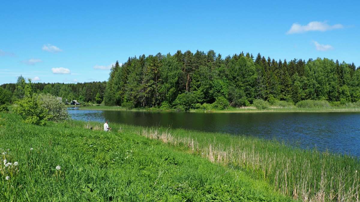 � ��������� ������ �����. ����� �������� �������� �� PhotoGeek.ru #������ ��� �������