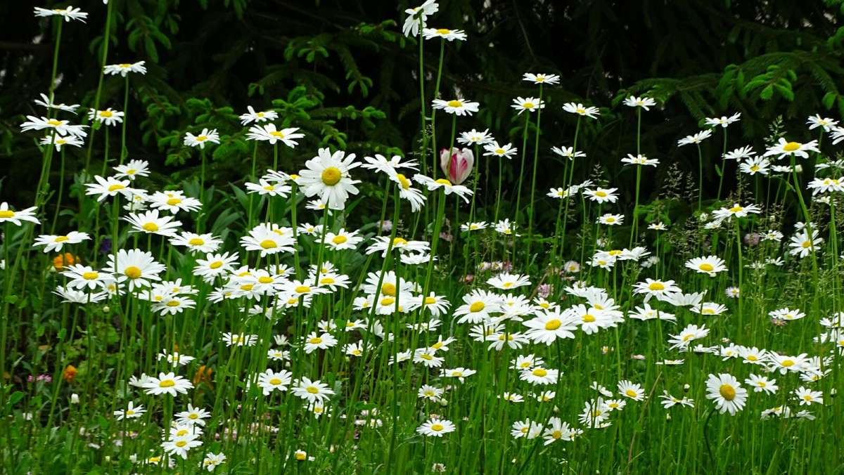 ���������� ���. ����� �������� �������� �� PhotoGeek.ru #����� #������ ��� �������