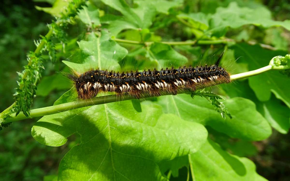 �������� - �������������. ����� �������� �������� �� PhotoGeek.ru #������ ��� �������