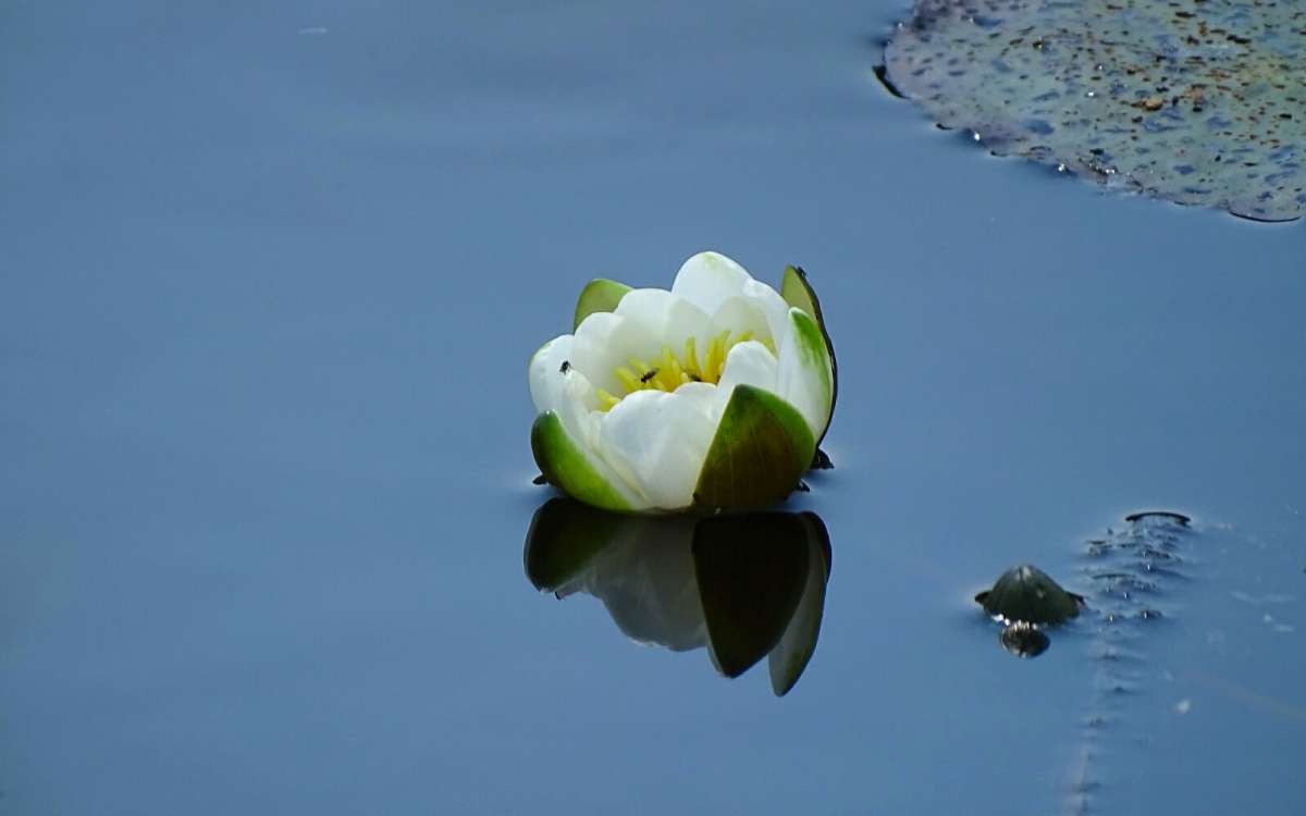 ������ ��������. ����� �������� �������� �� PhotoGeek.ru #������ ��� �������