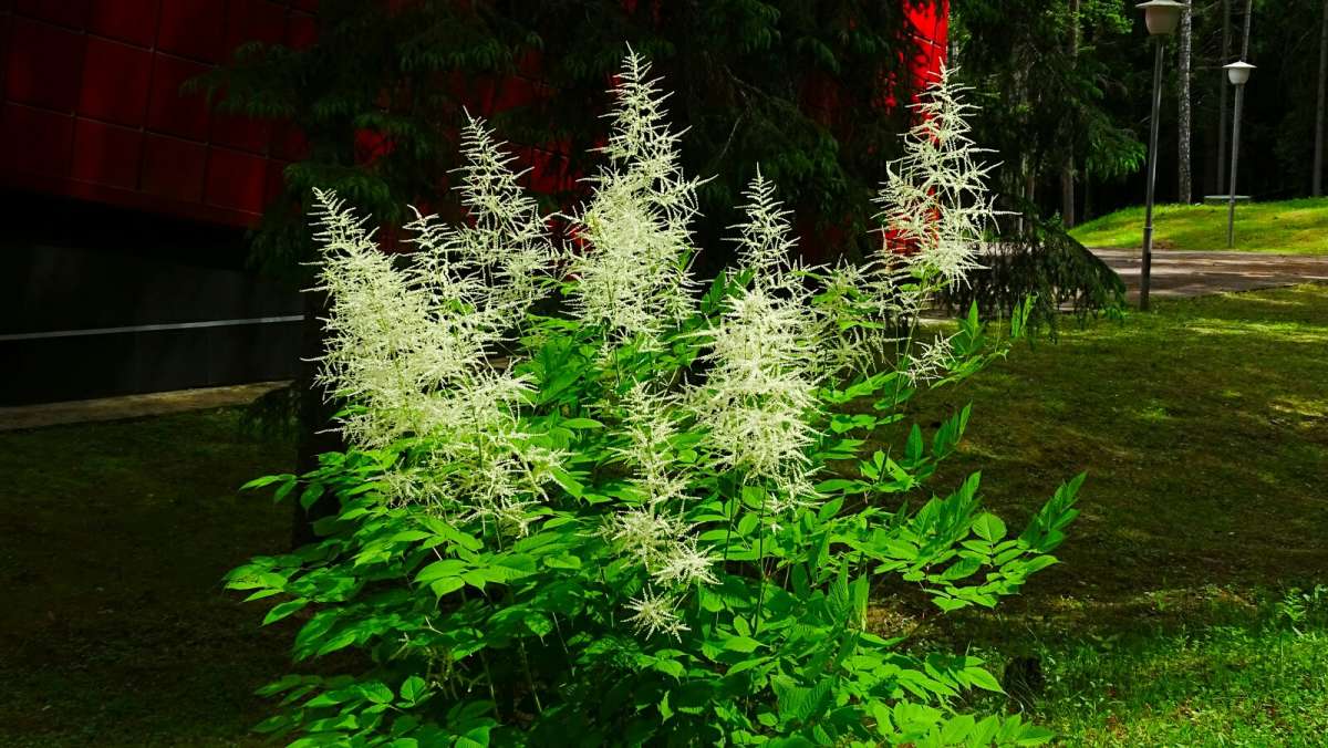 ����� ��������. ����� �������� �������� �� PhotoGeek.ru #������ ��� �������