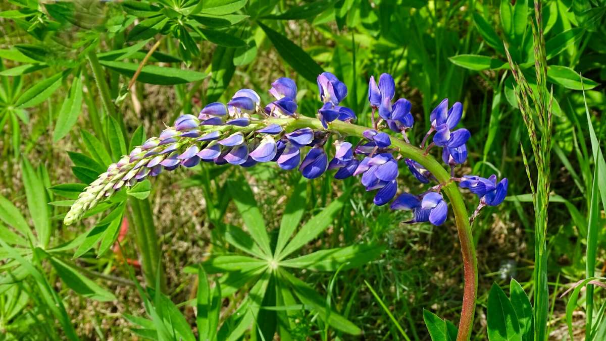 �������� �� ����� �����. ����� �������� �������� �� PhotoGeek.ru #������ ��� �������