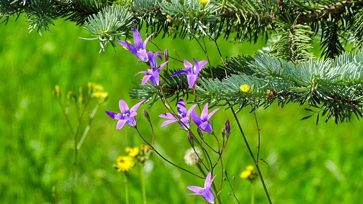 ������������ ��� ������� ����. ����� �������� �������� �� PhotoGeek.ru #����� #������ ��� �������