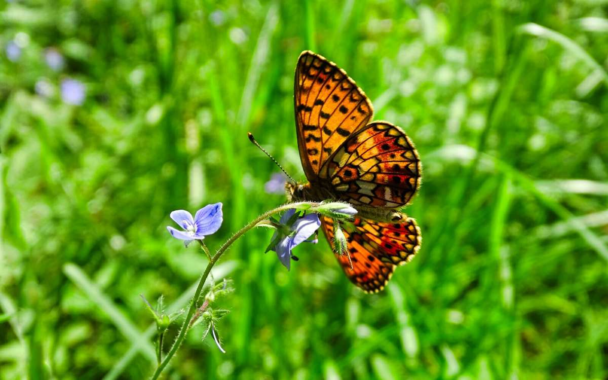 ������� "����". ����� �������� �������� �� PhotoGeek.ru #����� #������ ��� �������