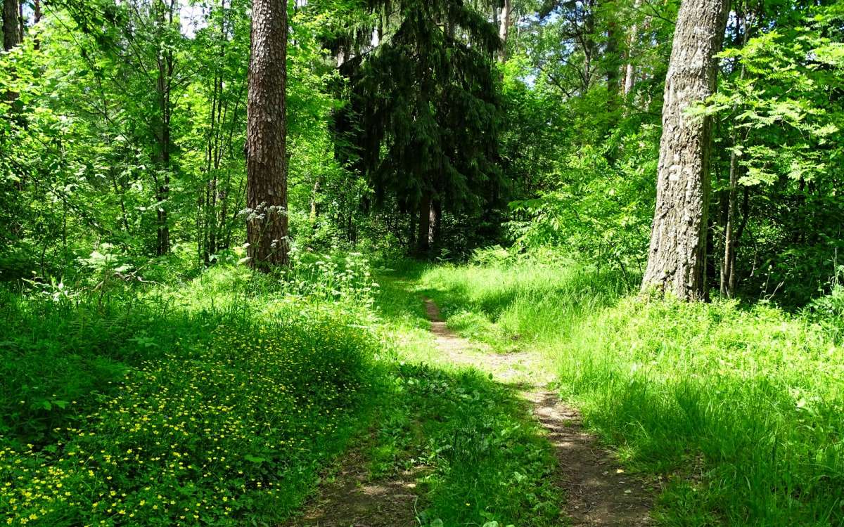 � ����������� ��������� ����. ����� �������� �������� �� PhotoGeek.ru #������ ��� �������