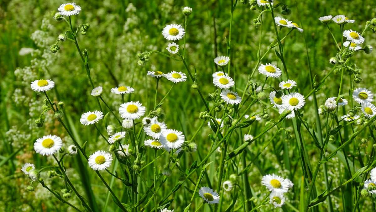 ������� �������. ����� �������� �������� �� PhotoGeek.ru #������ ��� �������