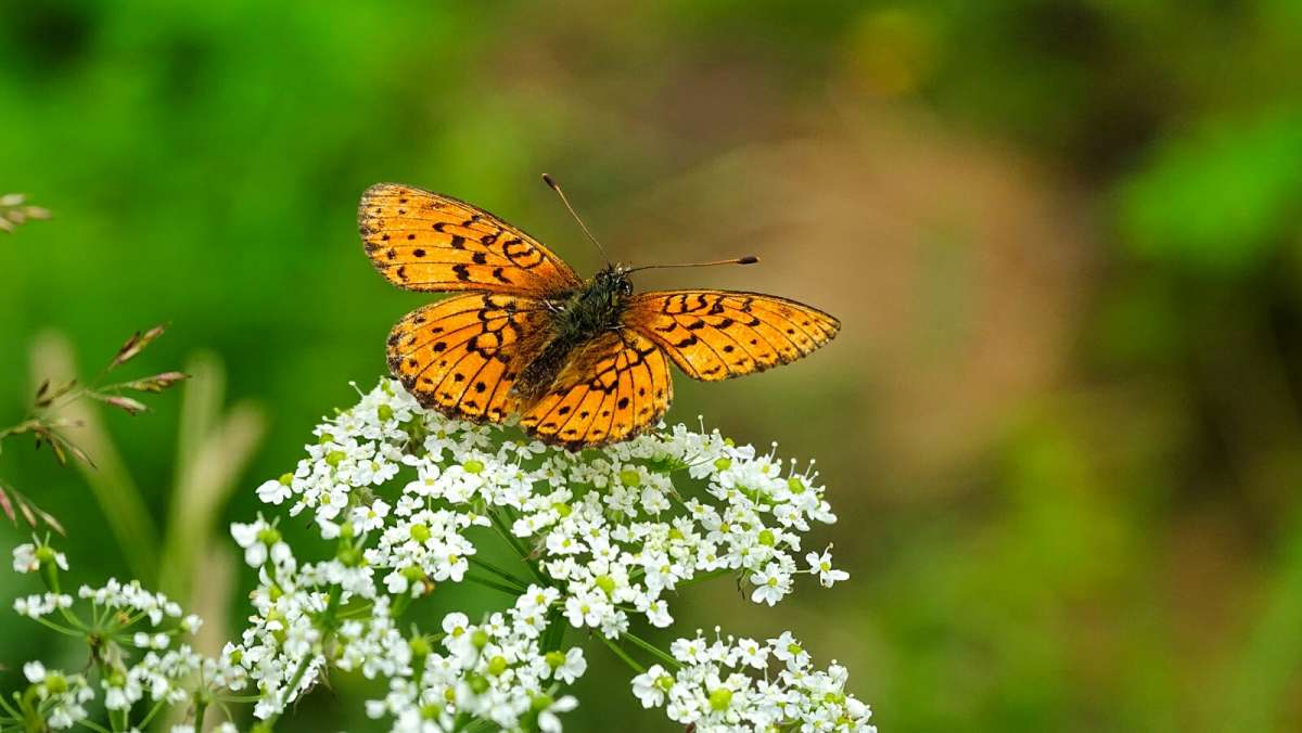 � ��������. ����� �������� �������� �� PhotoGeek.ru #����� #������ ��� �������