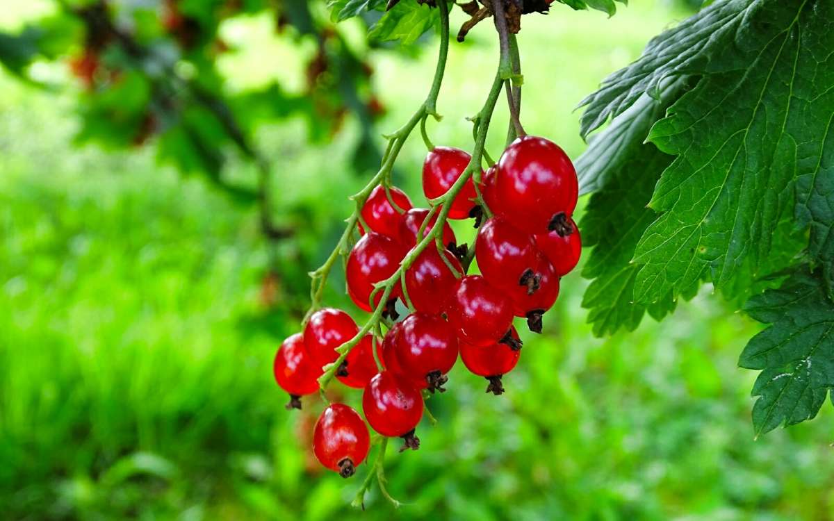 ������� ���������. ����� �������� �������� �� PhotoGeek.ru #����� #����� #������ ��� �������