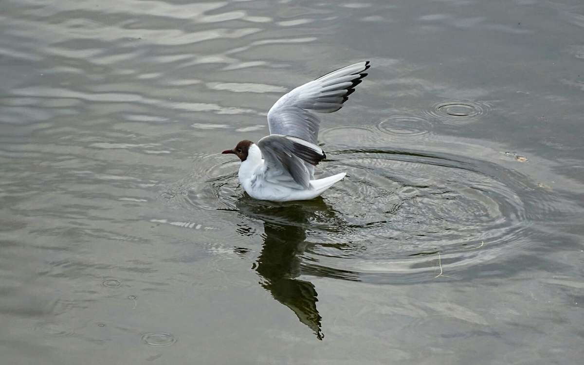 ����� �� �����. ����� �������� �������� �� PhotoGeek.ru #����� #�������� ���