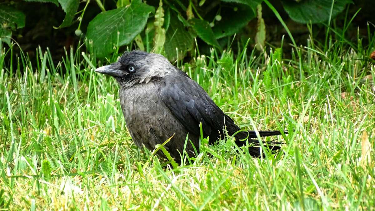 ����� �� ��������. ����� �������� �������� �� PhotoGeek.ru #����� #�������� ���