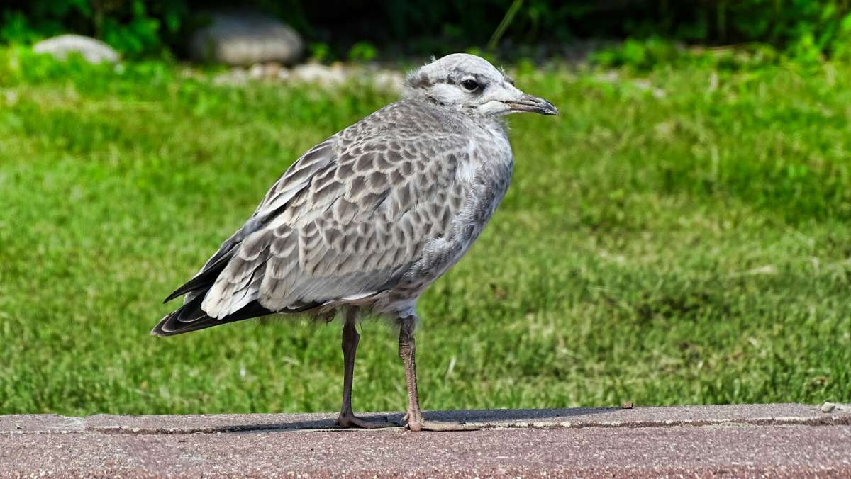 ����� ������ �����. ����� �������� �������� �� PhotoGeek.ru #����� #�������� ���