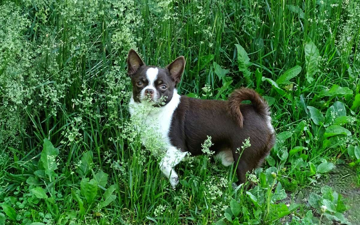 ����������� �� �� ������ "����". ����� �������� �������� �� PhotoGeek.ru #����� #�������� ���