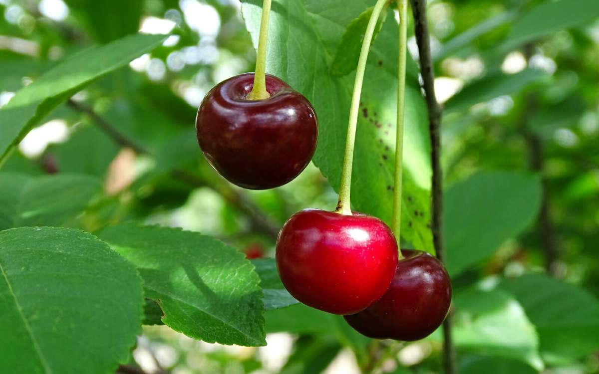 ���������� �����. ����� �������� �������� �� PhotoGeek.ru #����� #����� #������ ��� �������