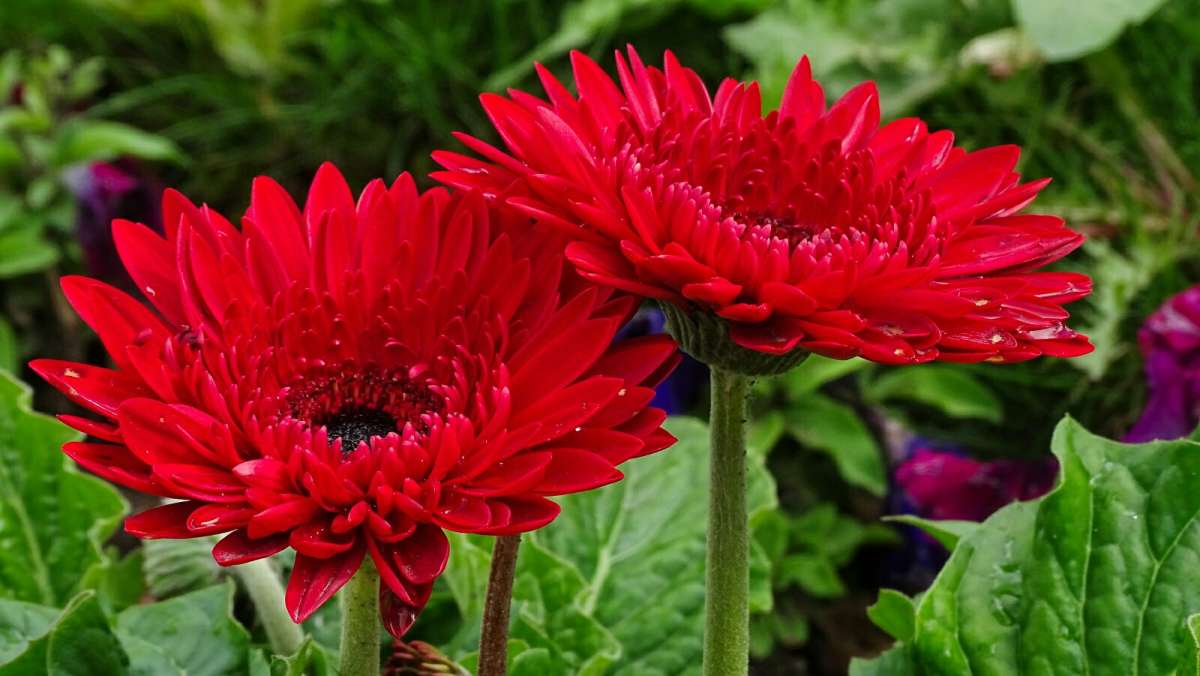 ��������� �����. ����� �������� �������� �� PhotoGeek.ru #����� #����� #������ ��� �������