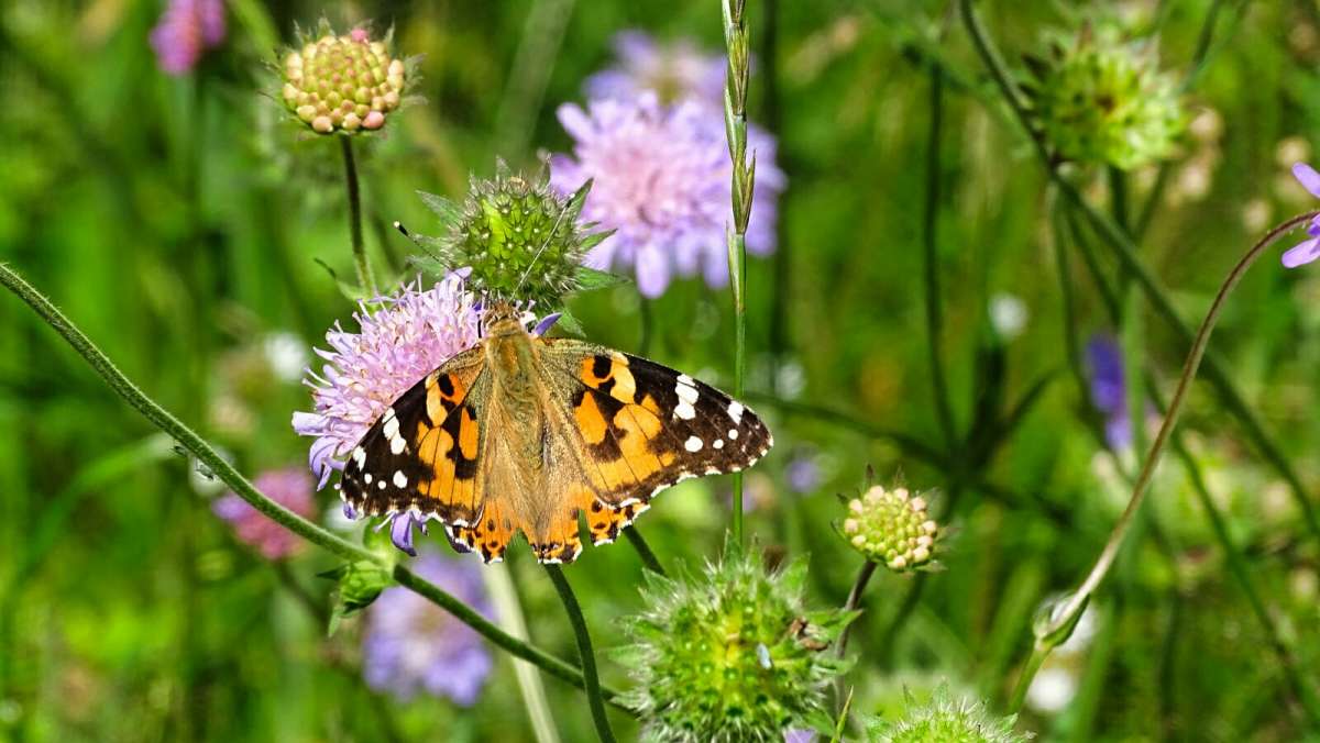 � ��������. ����� �������� �������� �� PhotoGeek.ru #������ ��� �������