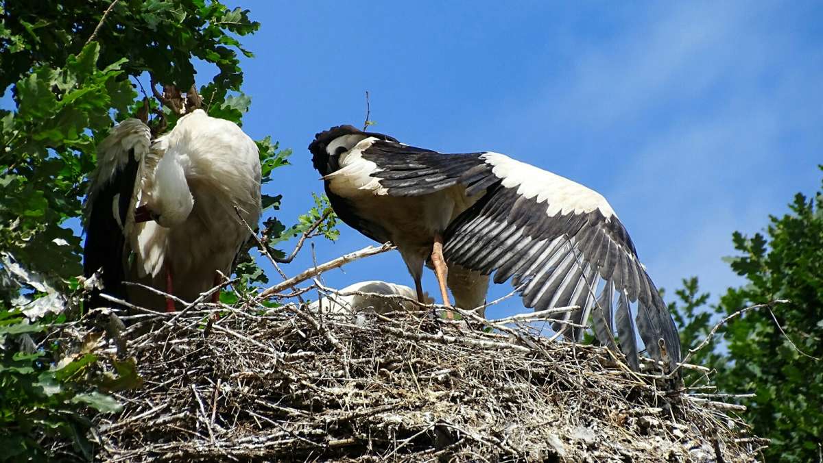 ���� ����������� ����� ������ ������. ����� �������� �������� �� PhotoGeek.ru #�������� ���