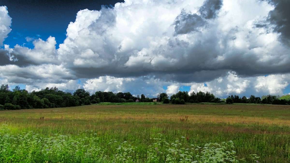 ��� ������. ����� �������� �������� �� PhotoGeek.ru #������ ��� �������