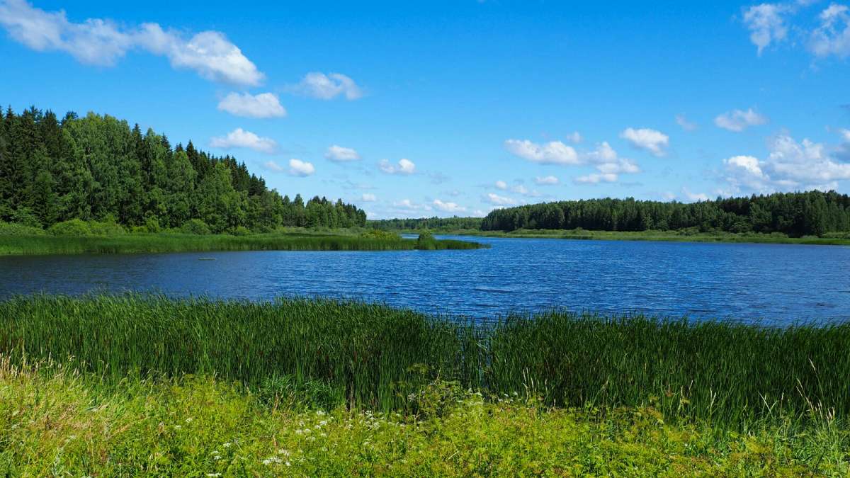 ���������� � ����. ����� �������� �������� �� PhotoGeek.ru #������ ��� �������