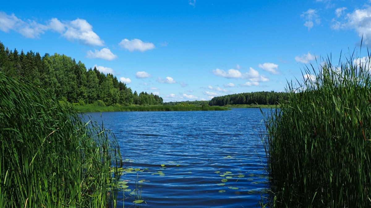 ���������� �����. ����� �������� �������� �� PhotoGeek.ru #������ ��� �������