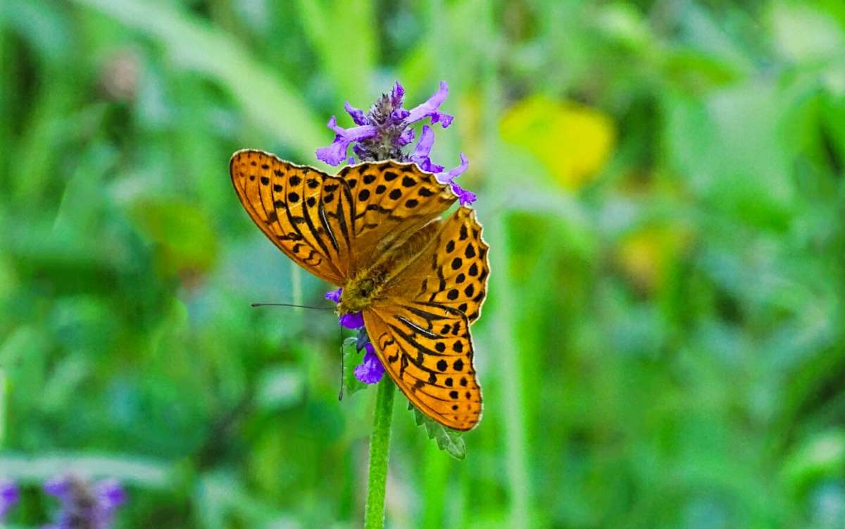 � ��������. ����� �������� �������� �� PhotoGeek.ru #����� #������ ��� �������