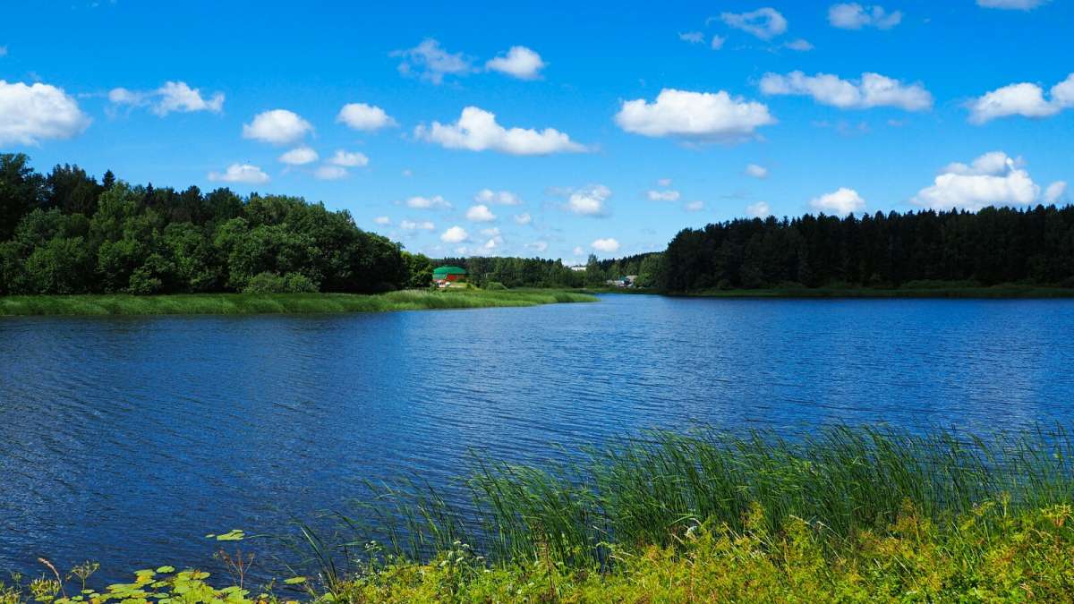 ���������� � ����. ����� �������� �������� �� PhotoGeek.ru #������ ��� �������